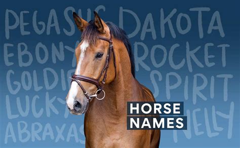 names of horses running today.